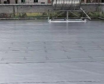 大埔测漏水电话